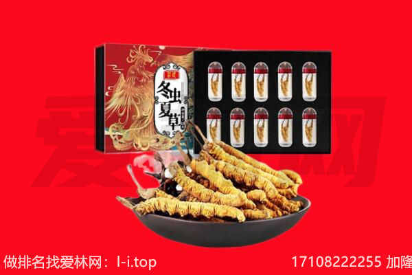 鄂托克旗回收虫草.jpg